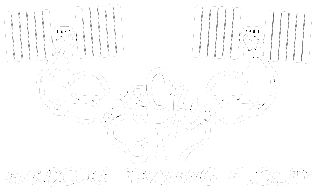 MetroFlex Gym